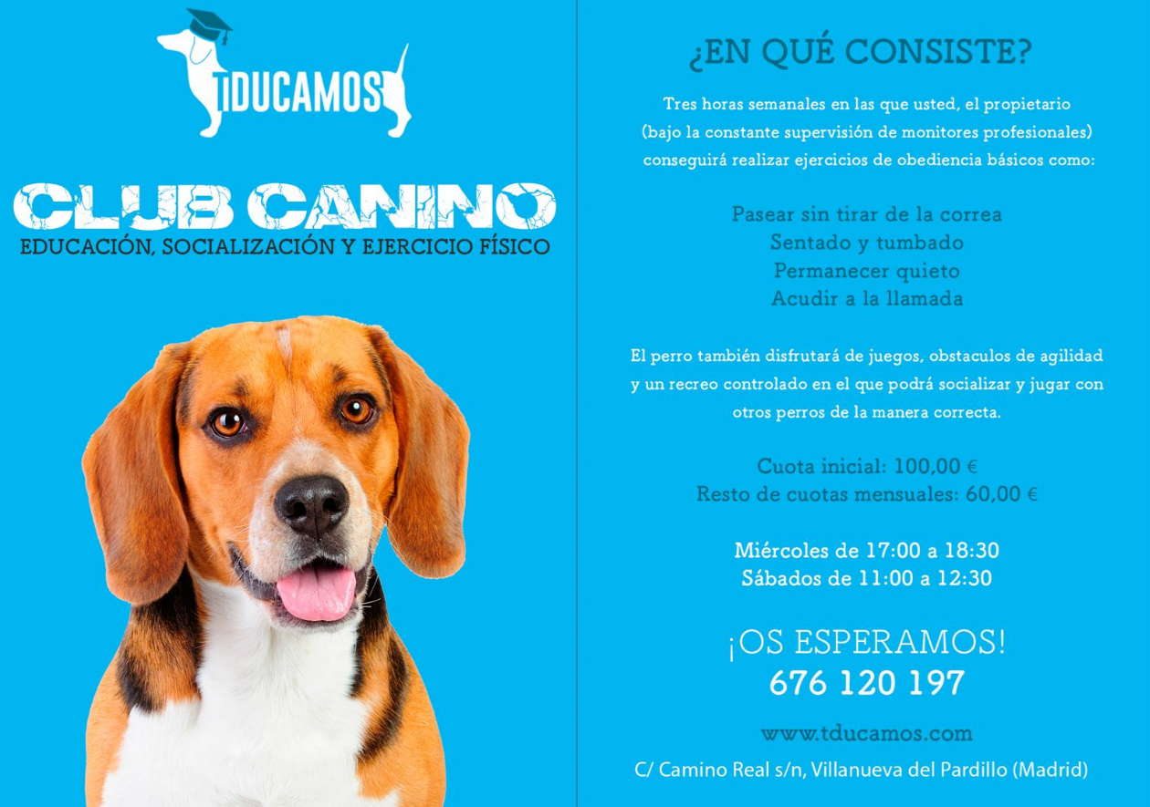 Club Canino Tducamos - Villanueva del Pardillo