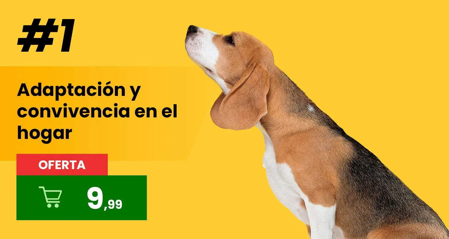 Convivencia en el hogar