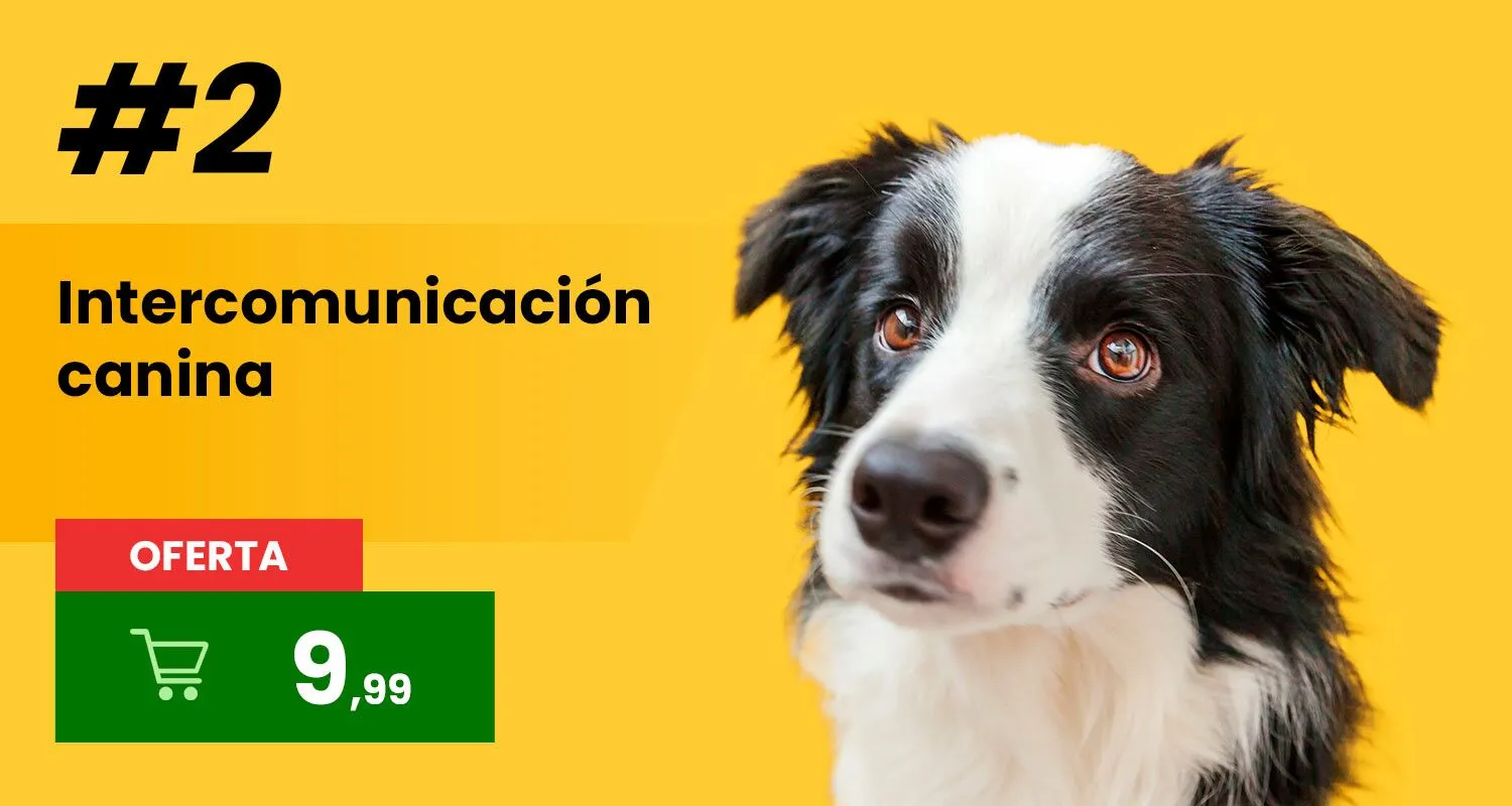 Intercomunicación canina