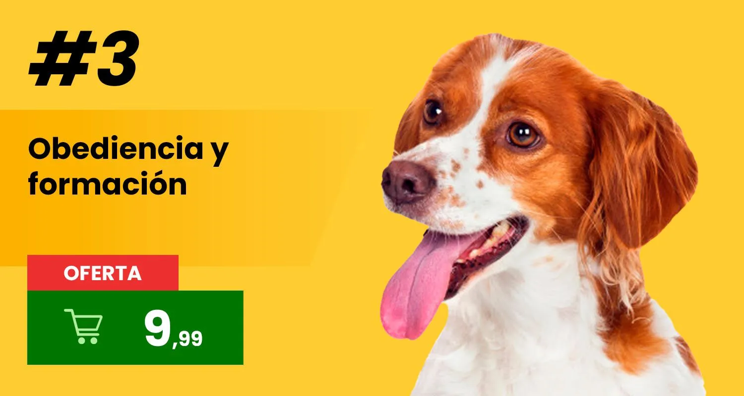 Obediencia y formación