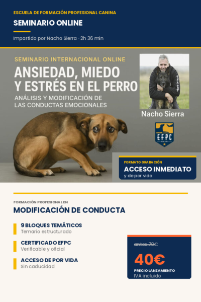 Seminario online: Ansiedad, miedo y estrés en el perro